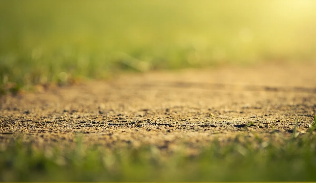 Editorial photograph of a cricket pitch close-up with worn rough patches visible